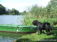 Für größeres Bild bitte klicken!