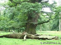 Für größeres Bild bitte klicken!