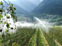 Für größeres Bild bitte klicken!