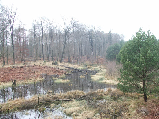 biberturm.jpg HDR bei MouseOver