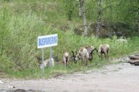 Für größeres Bild bitte klicken!