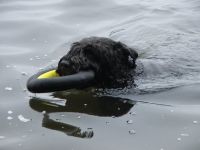 Für größeres Bild bitte klicken!