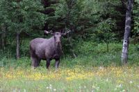 Für größeres Bild bitte klicken!