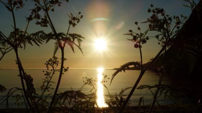 Für größeres Bild bitte klicken!