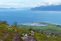 Für größeres Bild bitte klicken!