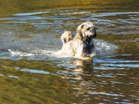 F&uuml;r gr&ouml;&szlig;eres Bild bitte klicken!