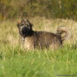 F&uuml;r gr&ouml;&szlig;eres Bild bitte klicken!