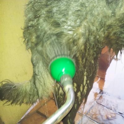 Für größeres Bild bitte klicken!