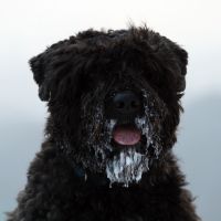 Für größeres Bild bitte klicken!