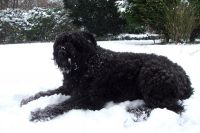 Für größeres Bild bitte klicken!