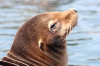 Für größeres Bild bitte klicken!