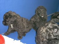 F&uuml;r gr&ouml;&szlig;eres Bild bitte klicken!