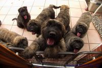 F&uuml;r gr&ouml;&szlig;eres Bild bitte klicken!