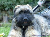 F&uuml;r gr&ouml;&szlig;eres Bild bitte klicken!